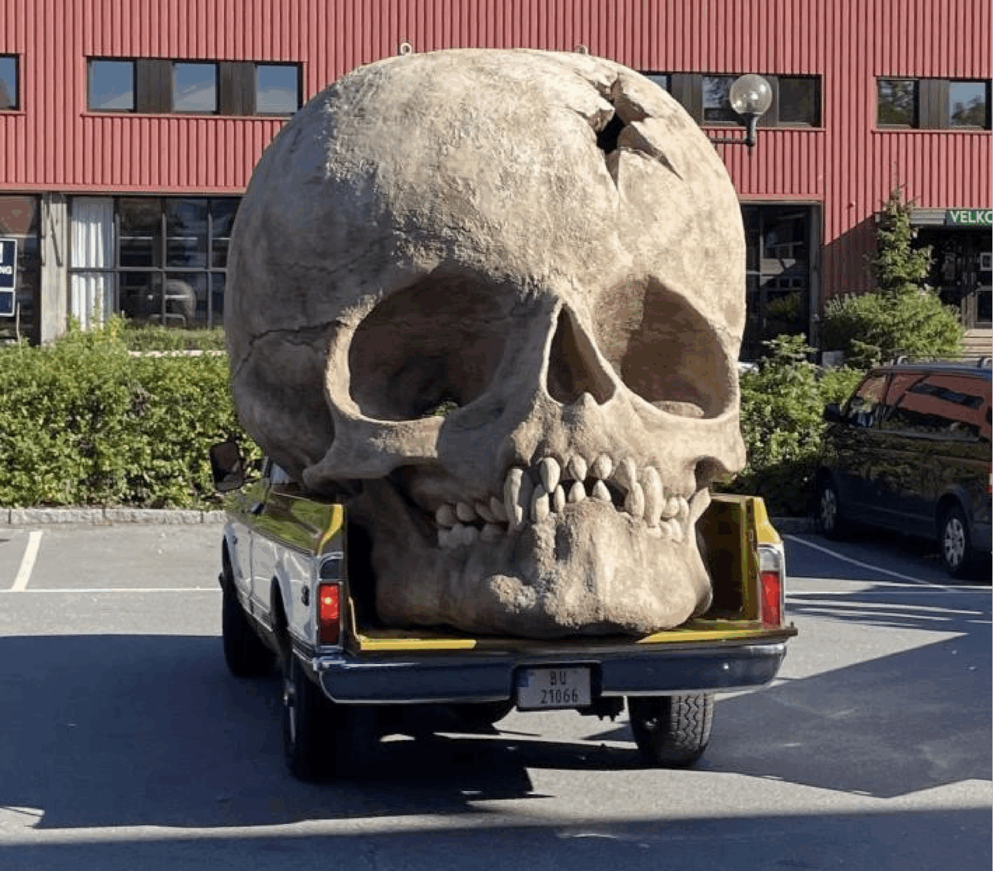 A large skull sculpture is loaded onto a pickup truck.